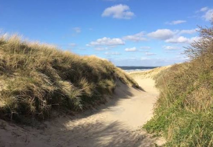 Path through the dune grass near Dishoek