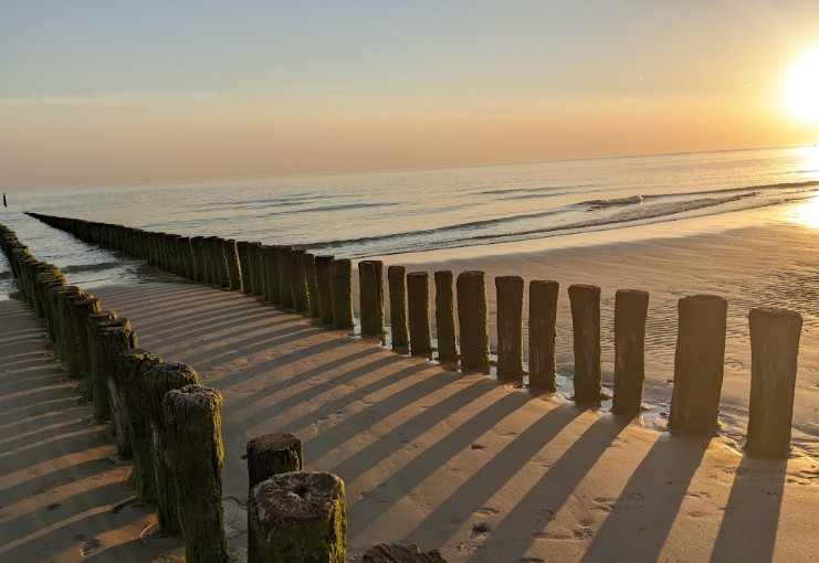 Wooden breakwater posts on Dishoek beach at sunset